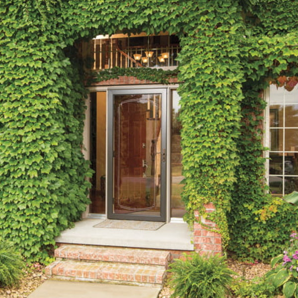 Full view glass storm door installation providing weather protection and ventilation over residential front entry door